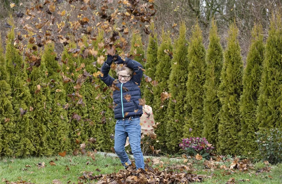 Was tun mit dem Herbstlaub?