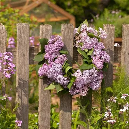 Gartenzäune sind nützlich und schön