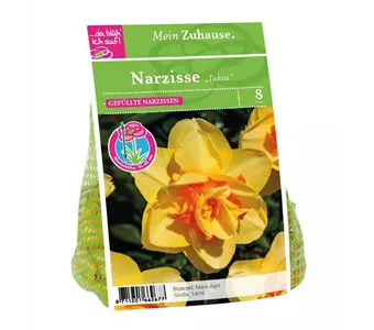 Blumenzwiebel Narzisse 'Tahiti'